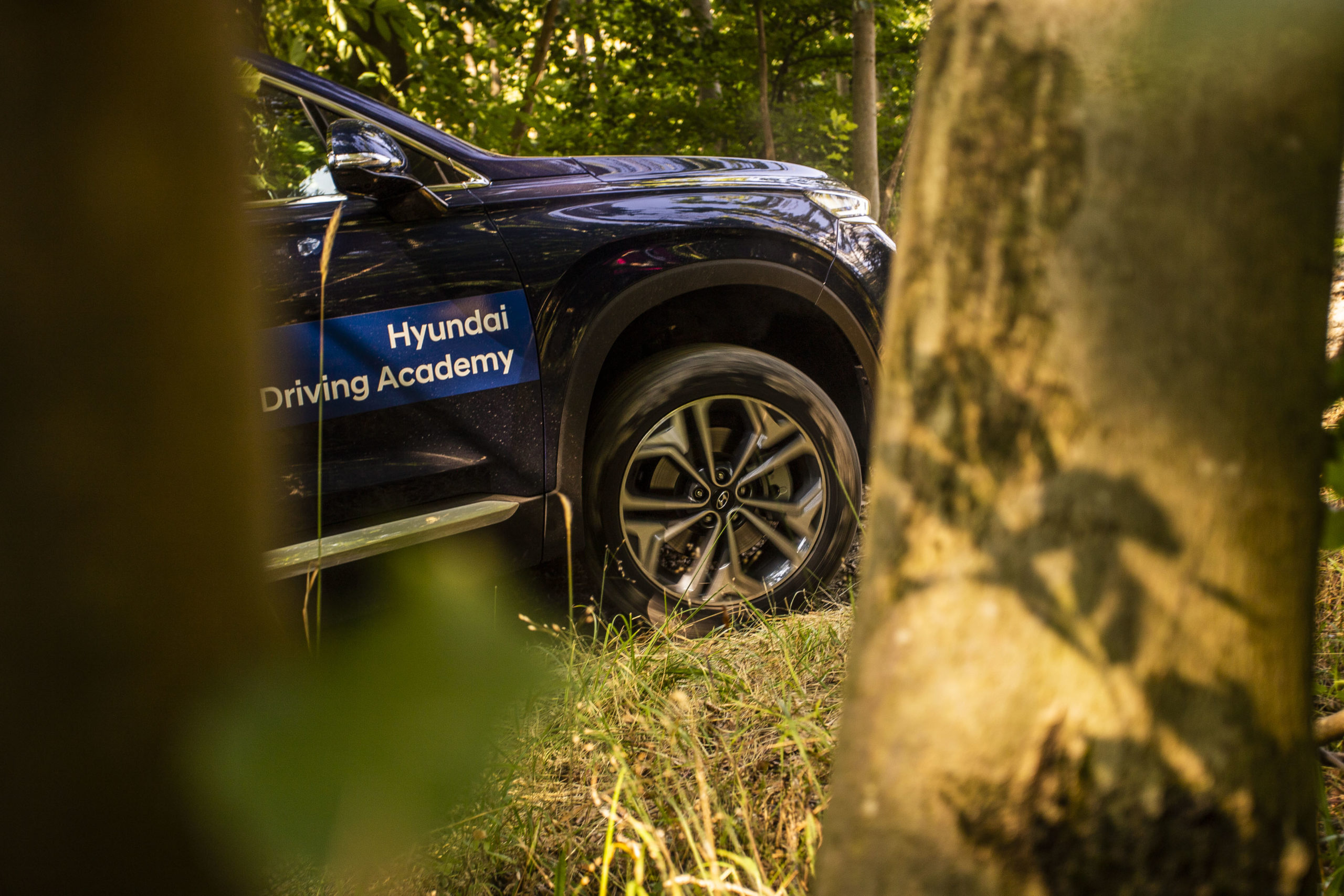 Hyundai im Wald hinter einen Baum